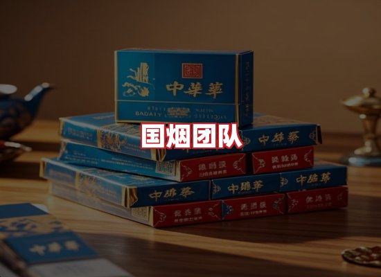国烟团队